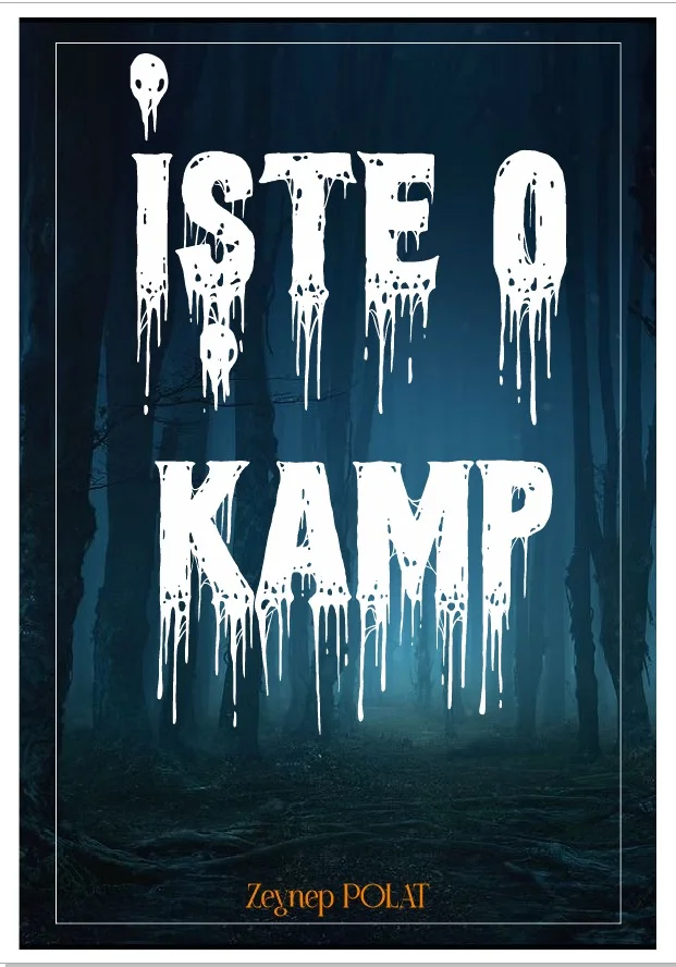 İşte O Kamp kitap kapağı