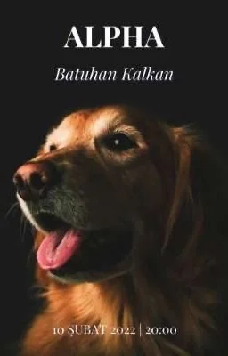 ALPHA — Batuhan Kalkan