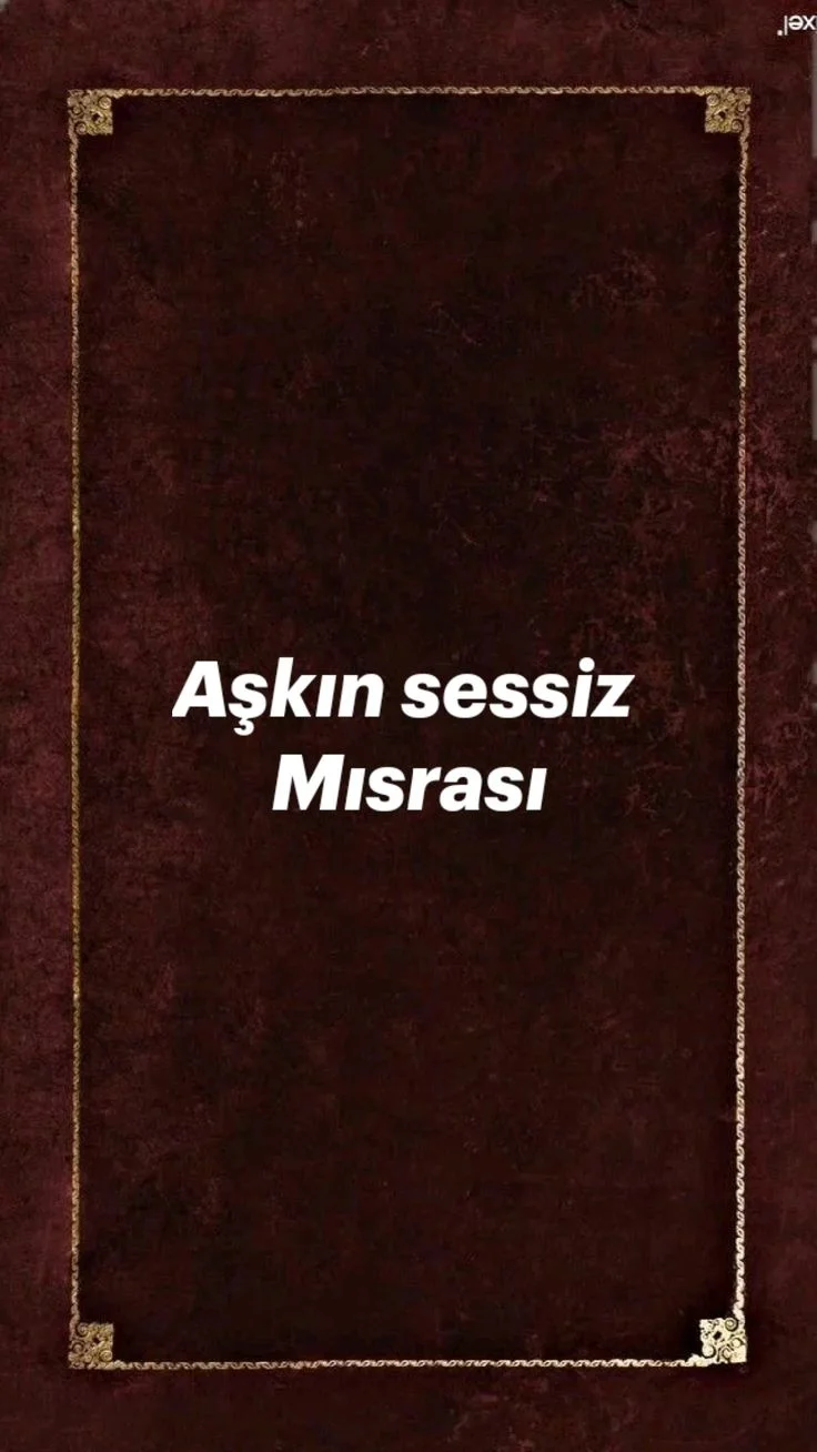 AŞKIN SESSİZ MISRASI kitap kapağı