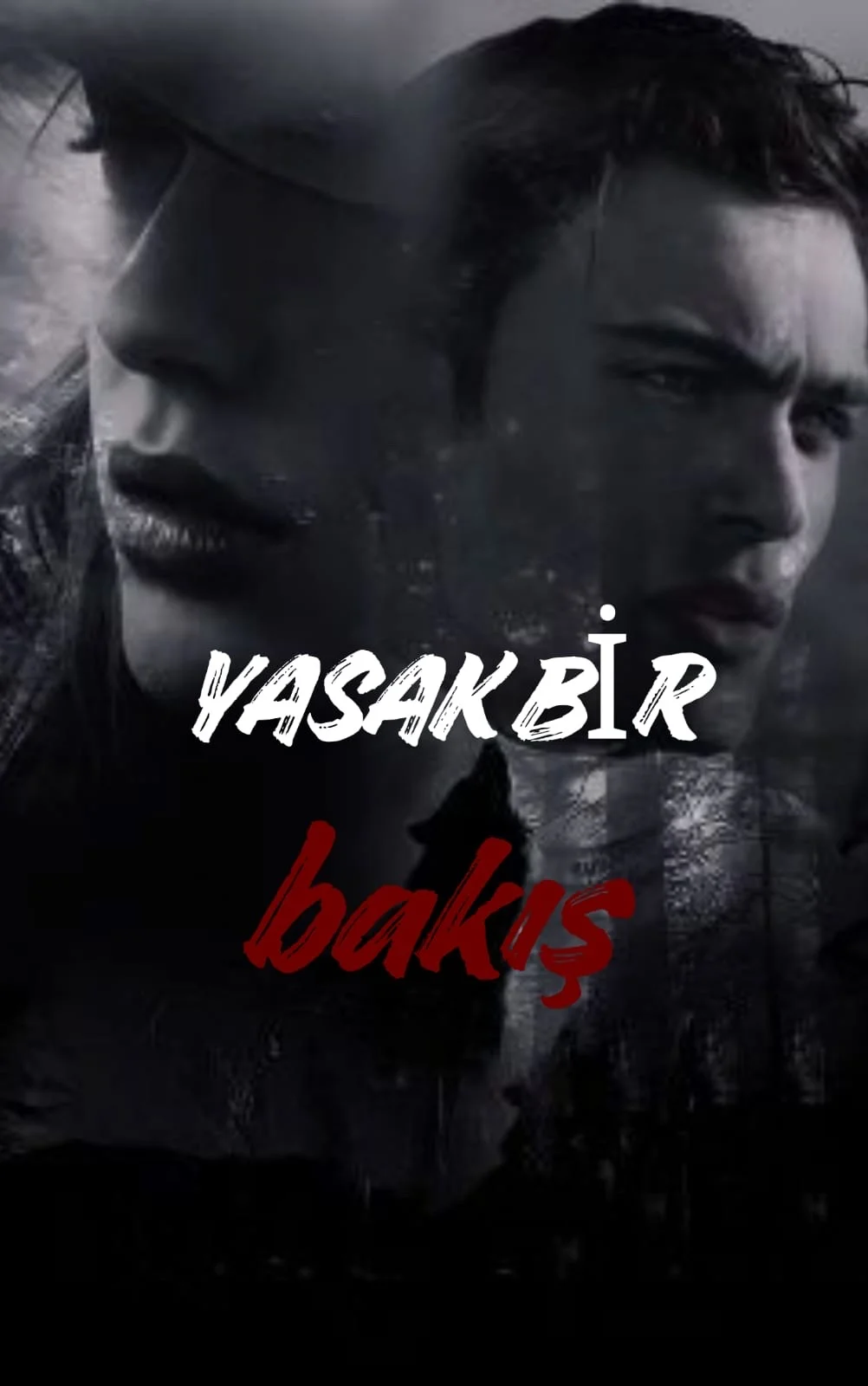 Yasak Bir Bakış kitap kapağı