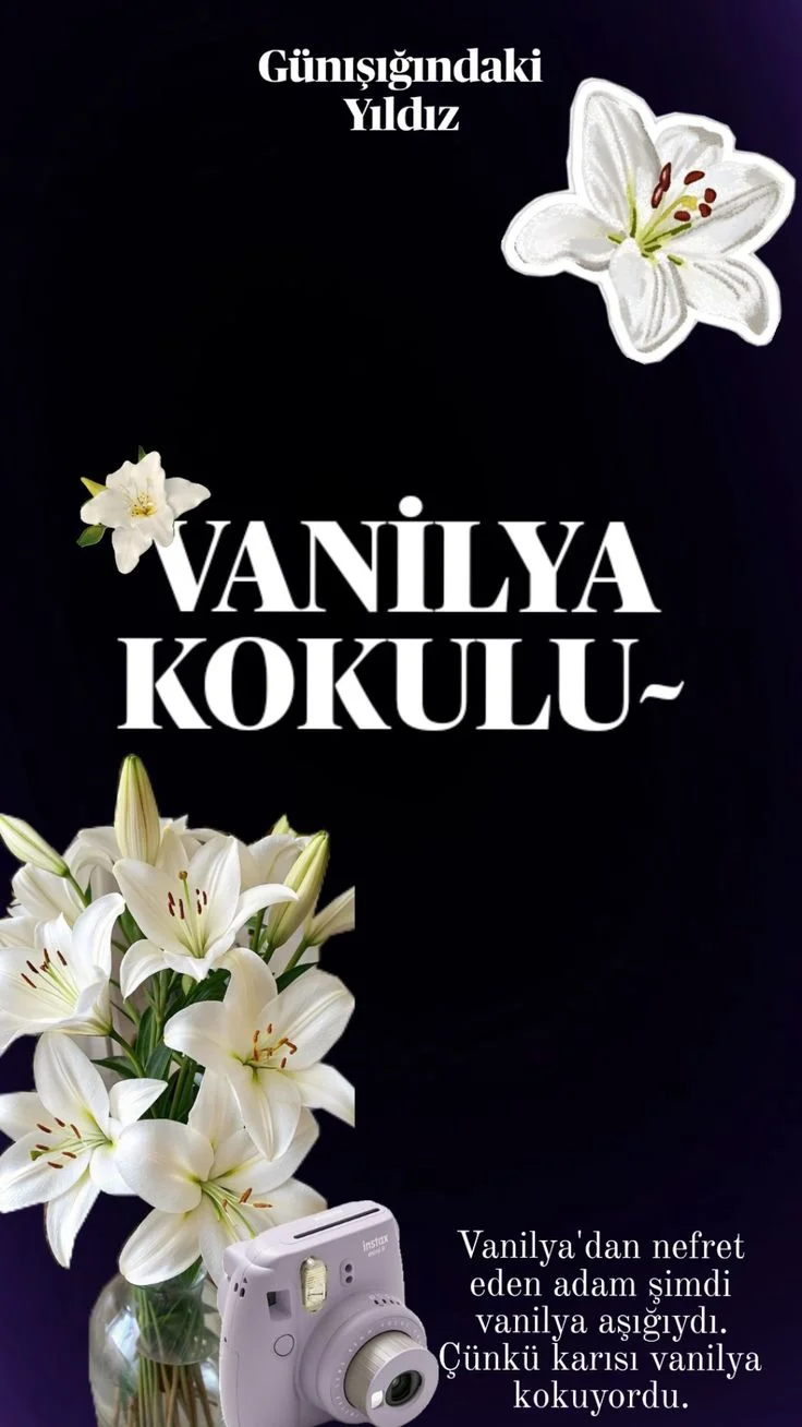 VANİLYA KOKULU kitap kapağı