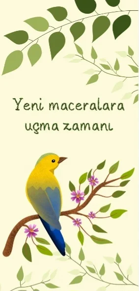 MACERA ADASI kitap kapağı