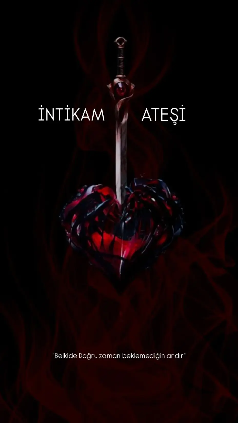 İntikam Ateşi kitap kapağı