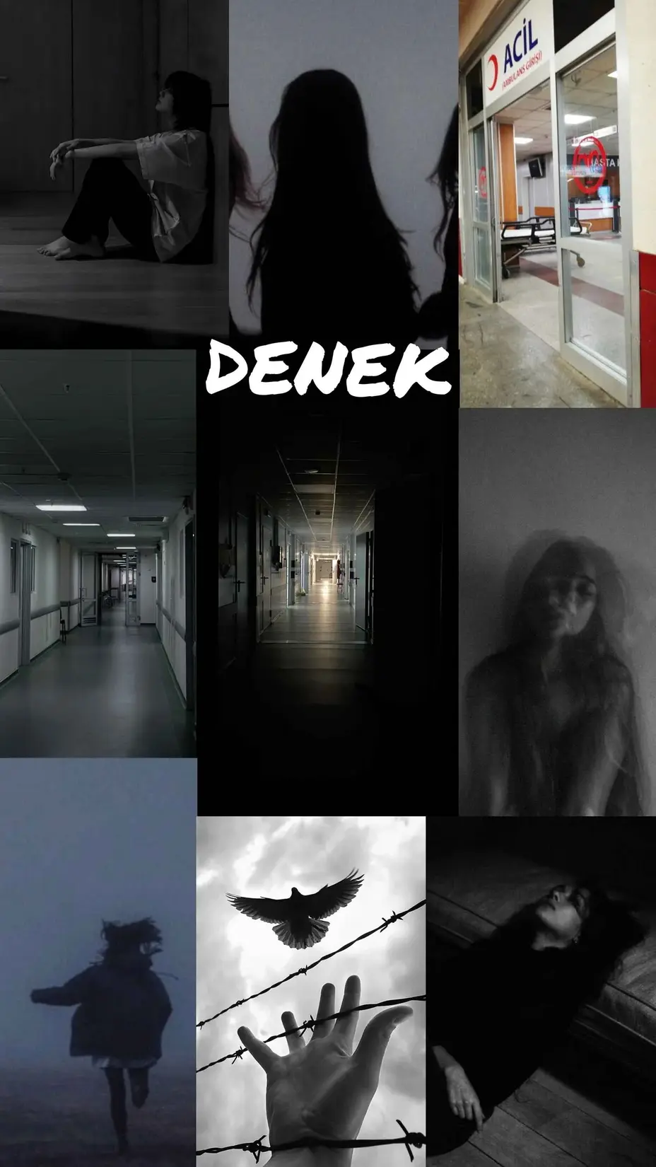 Denek kitap kapağı
