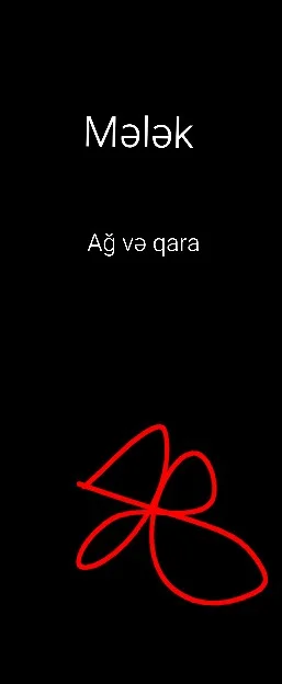 Mələk : Ağ və Qara kitap kapağı