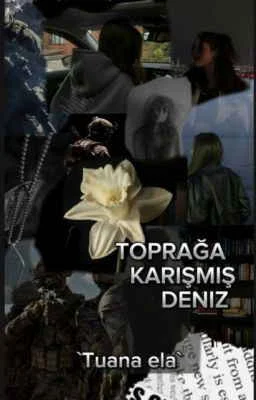 Toprağa karışmış deniz kitap kapağı