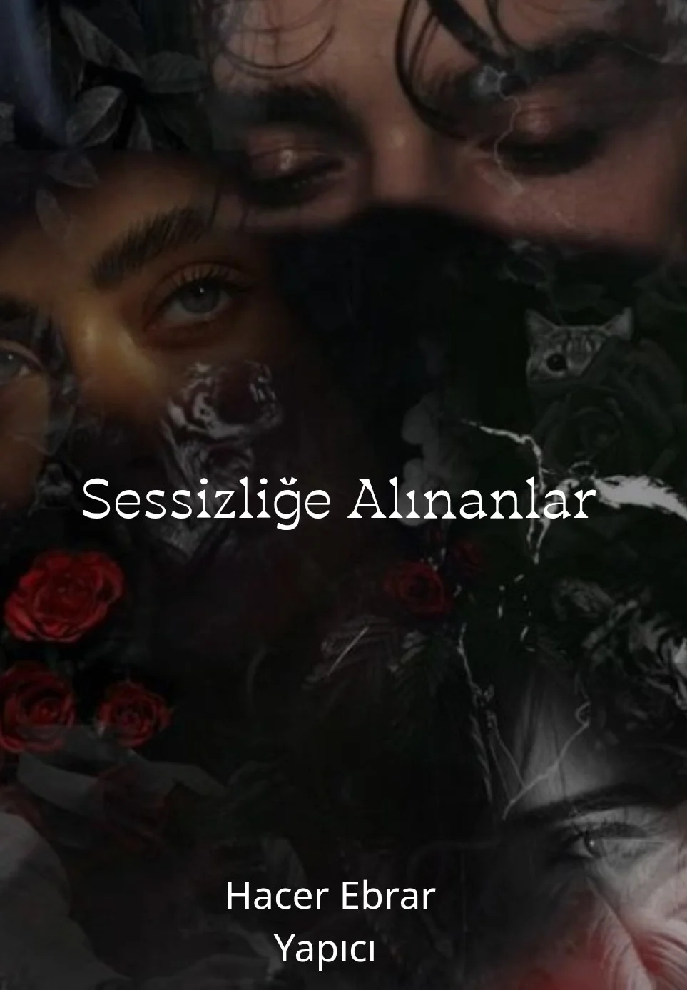 Sessizliğe Alınanlar kitap kapağı