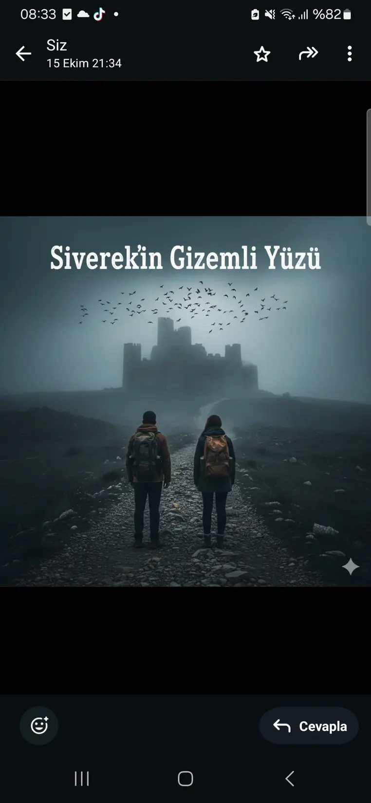 ESRARENGİZ SİVEREK kitap kapağı