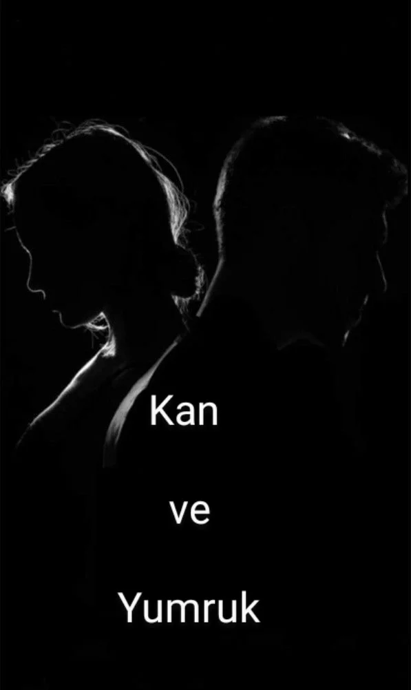 Kan ve Yumruk kitap kapağı