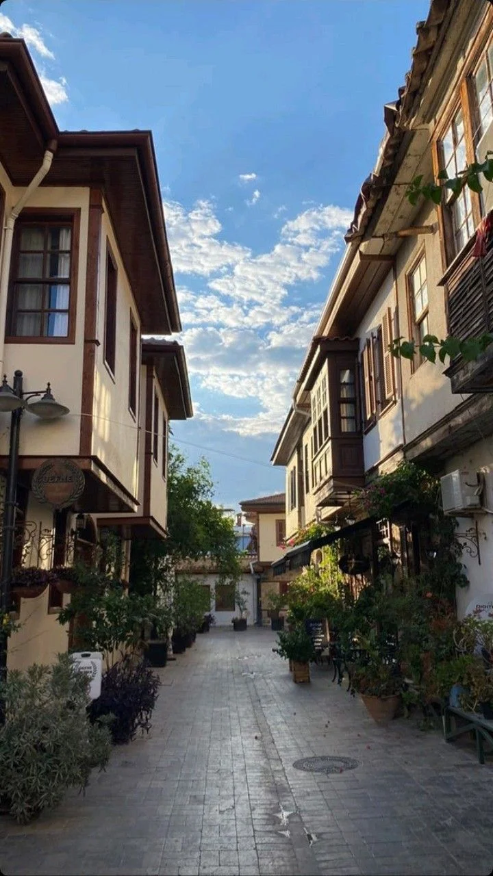 Karşı komşum kitap kapağı
