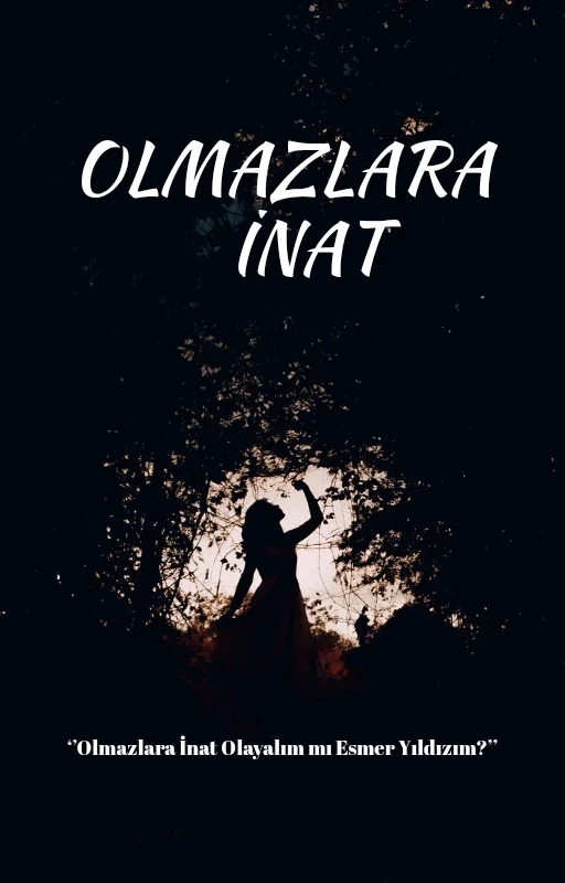 Olmazlara İnat kitap kapağı