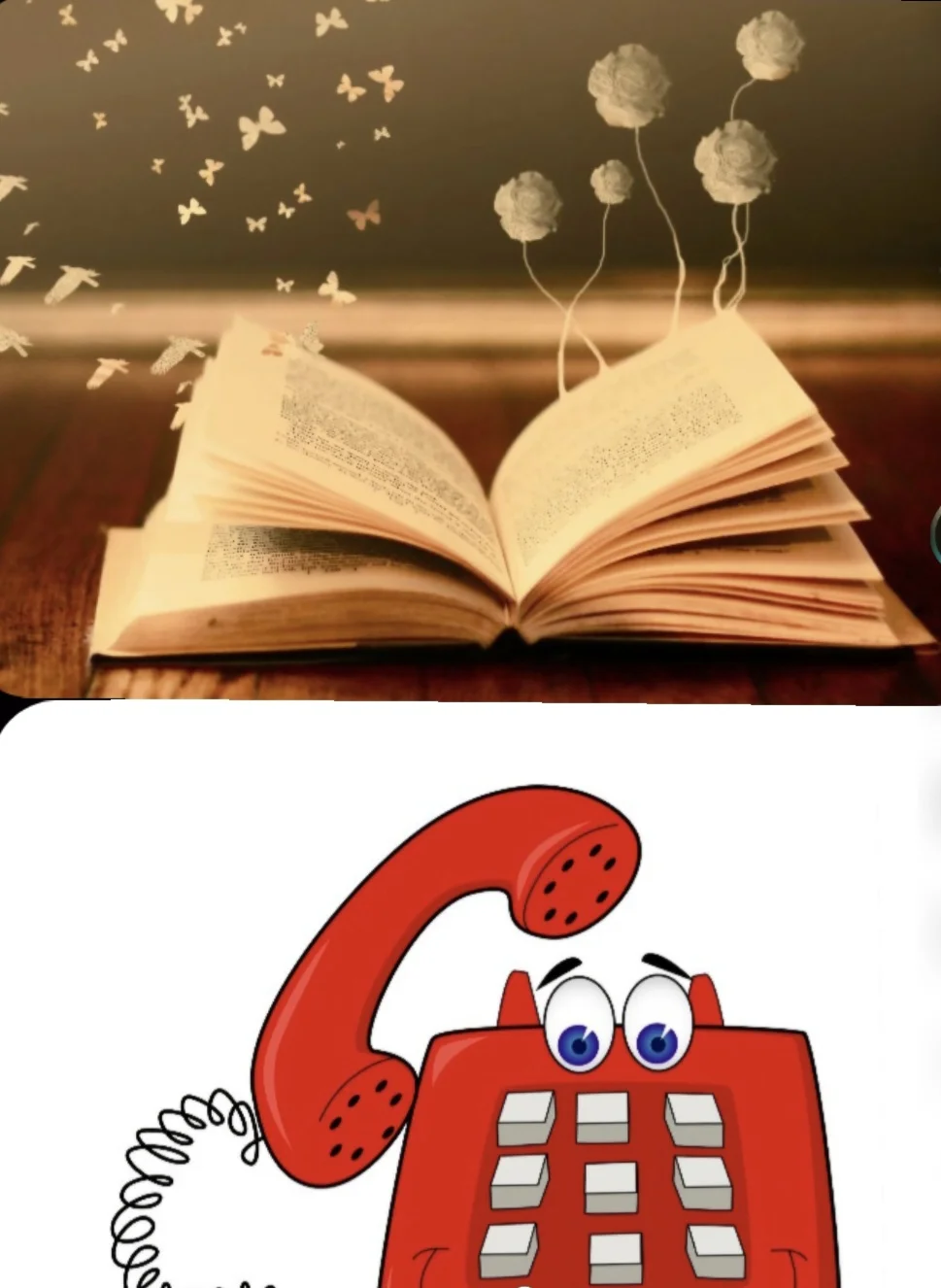 Bilmececeği bul kitap kapağı