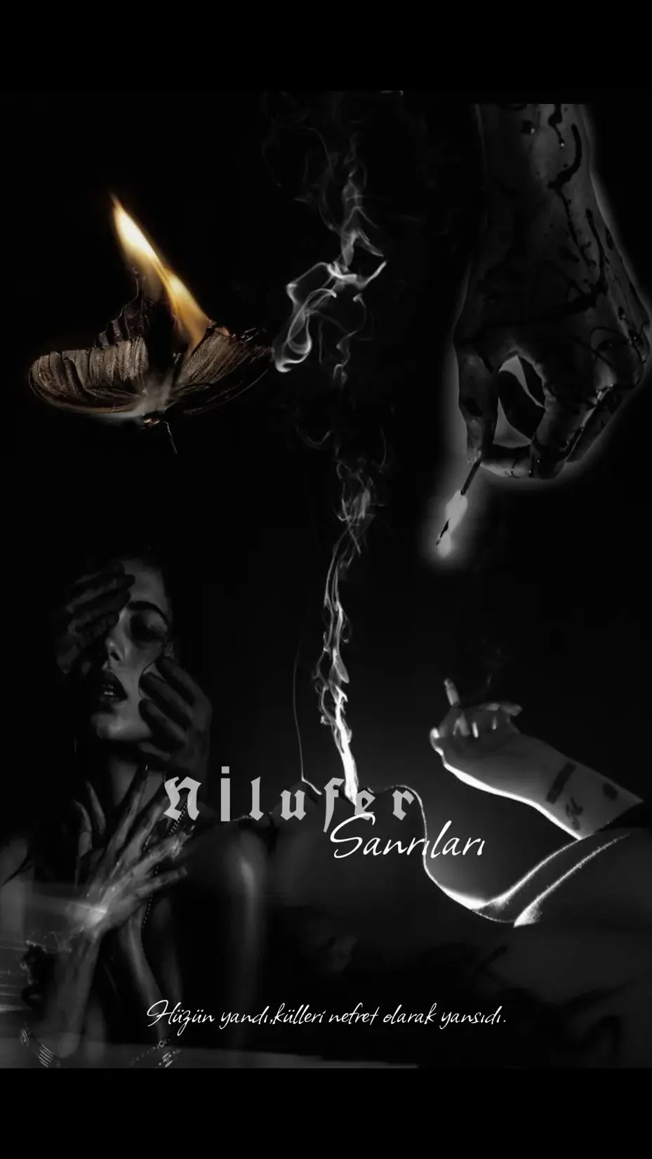 Nilufer Sanrıları kitap kapağı