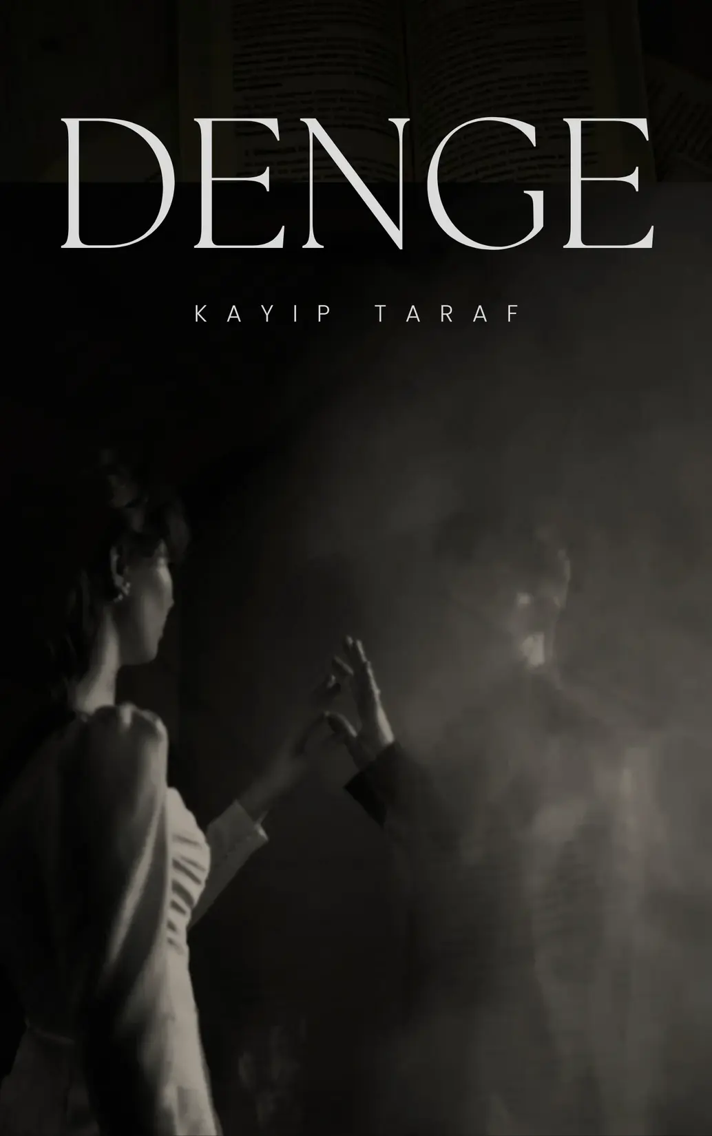 DENGE: Kayıp Taraf kitap kapağı