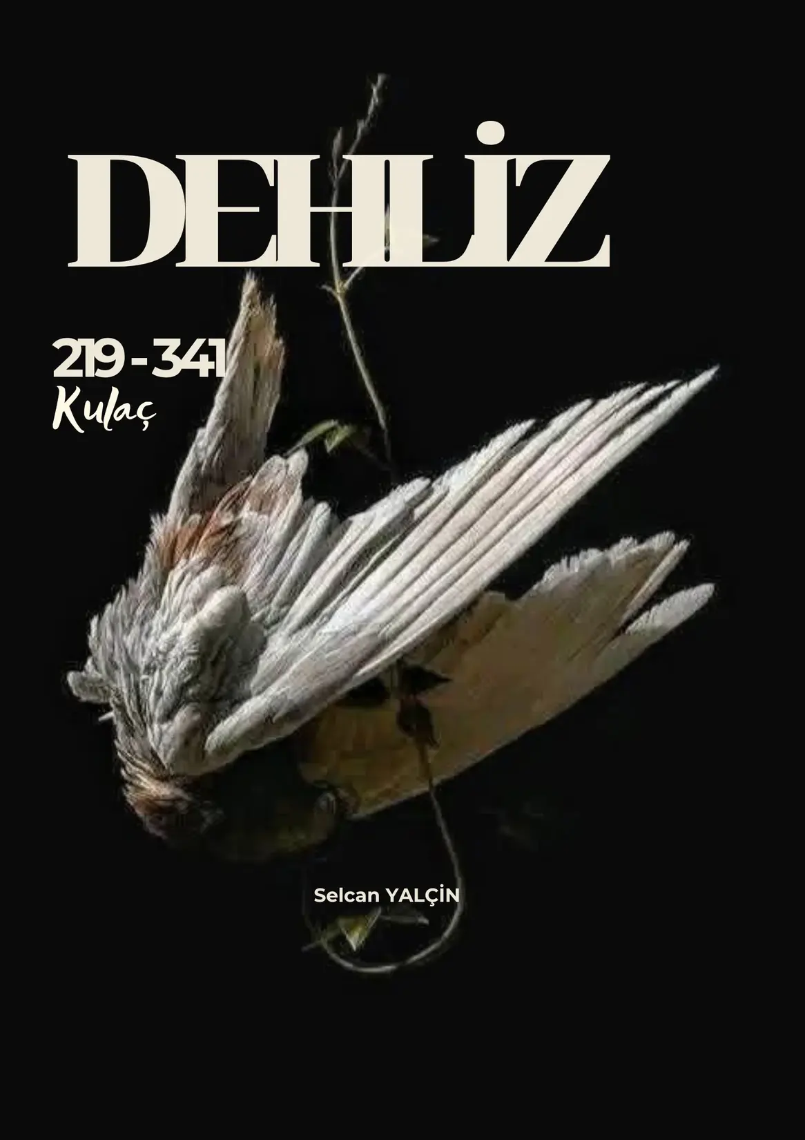 DEHLİZ kitap kapağı
