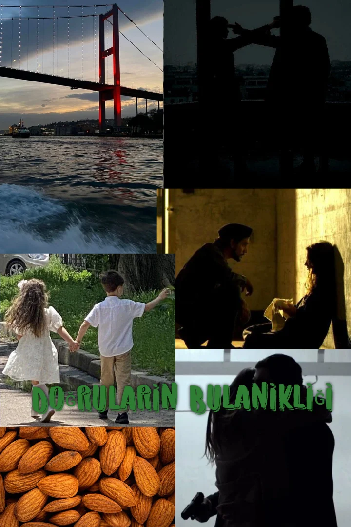DOĞRULARIN BULANIKLIĞI kitap kapağı