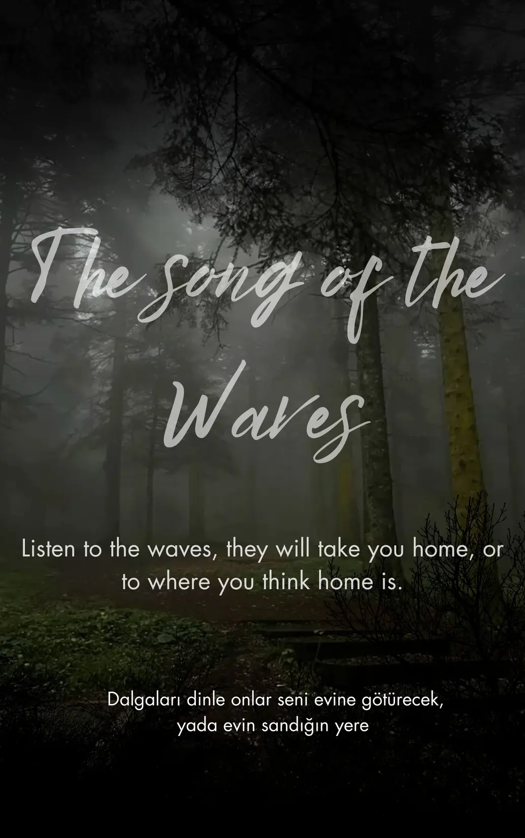 The Song Of The Waves kitap kapağı
