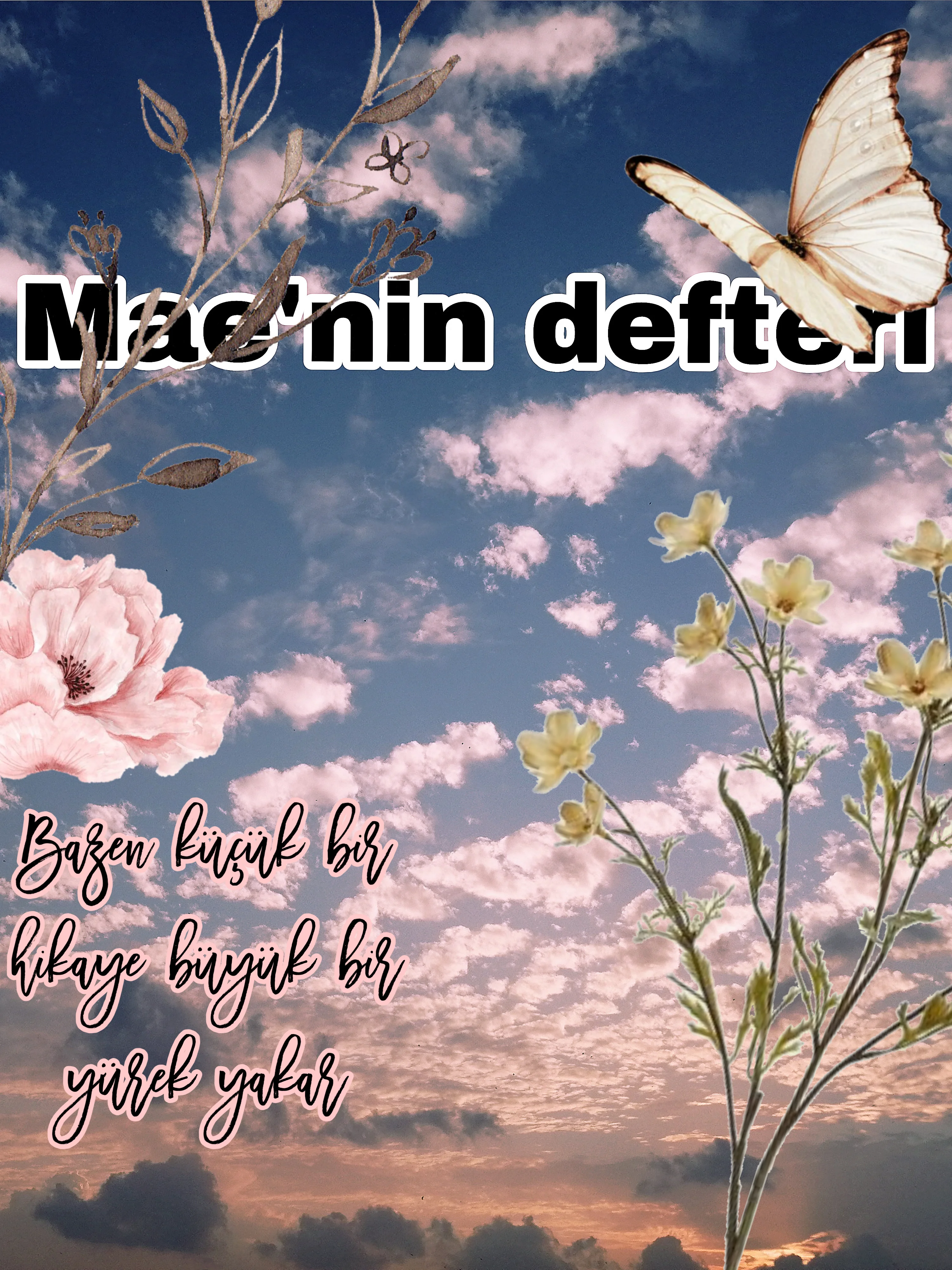 Mae’nin defteri — Miray Sevim