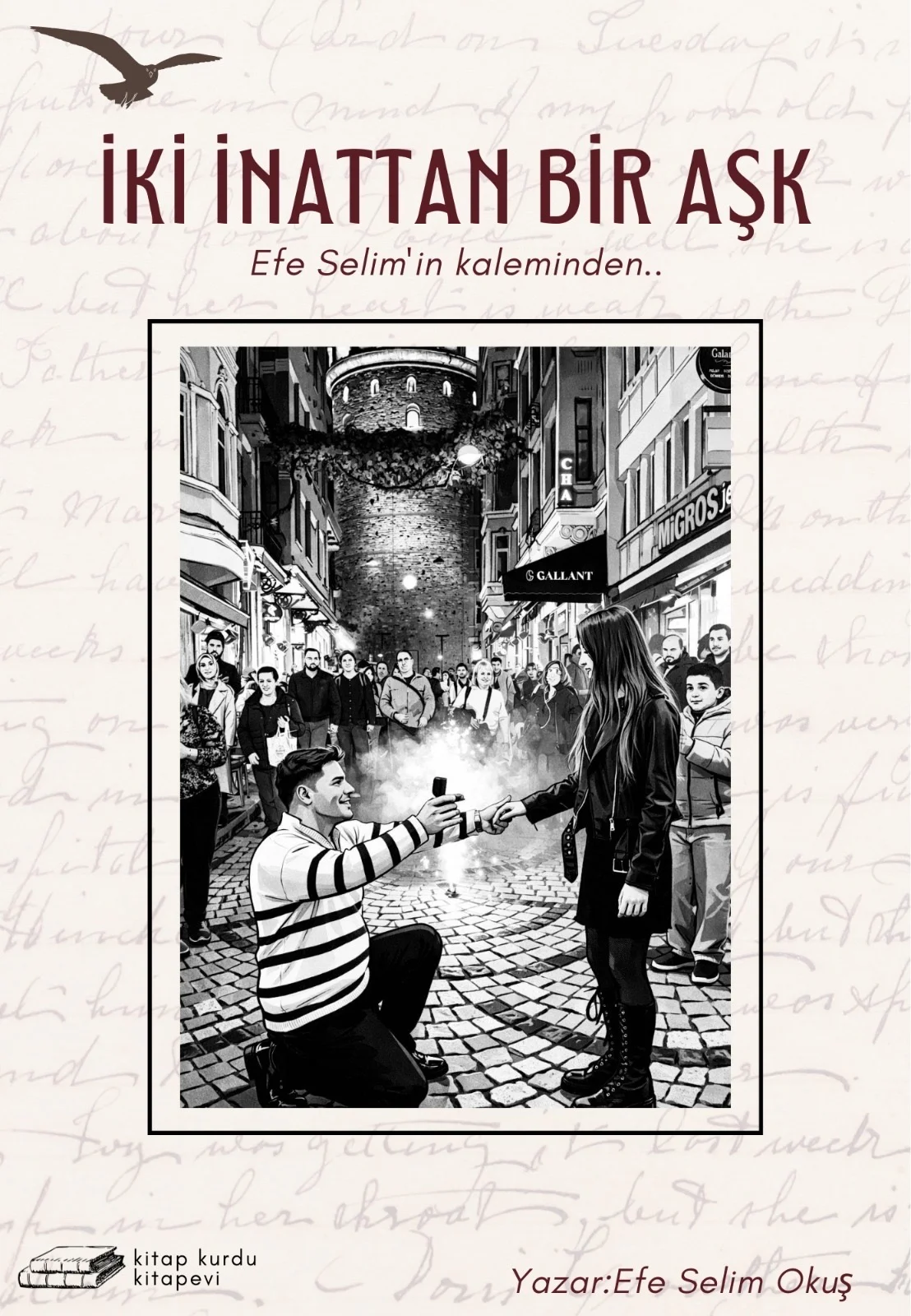 İKİ İNATTAN BİR AŞK kitap kapağı