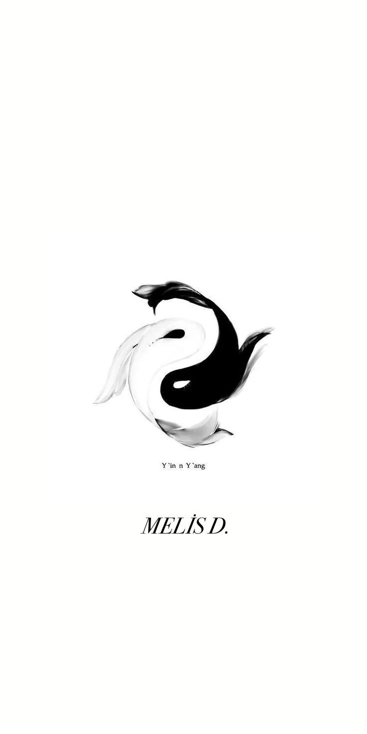 YIN YANG kitap kapağı