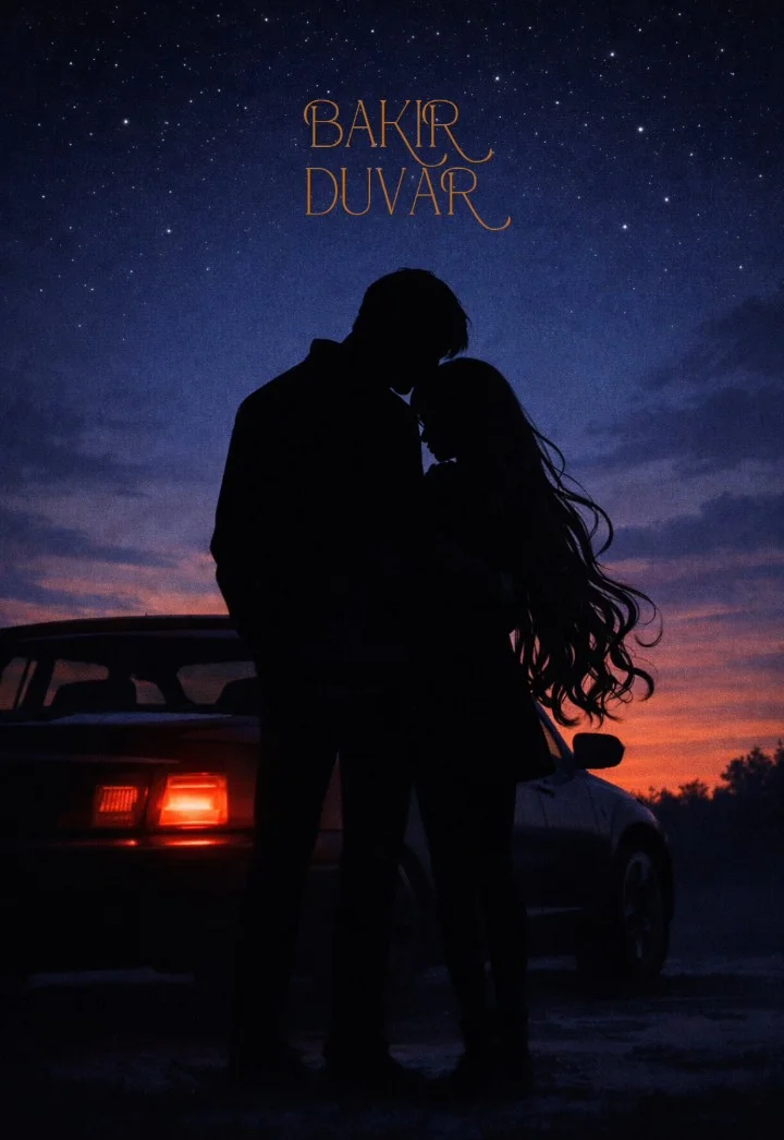 BAKIR DUVAR — Emine Gedik