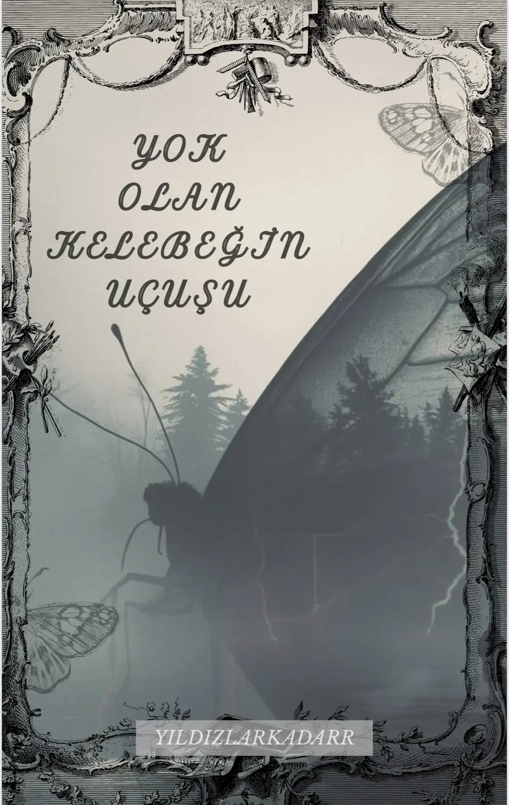 Yok olan kelebeğin uçuşu kitap kapağı