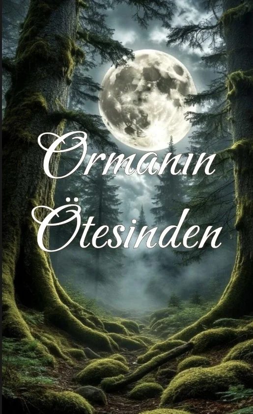 Ormanın Ötesinden kitap kapağı