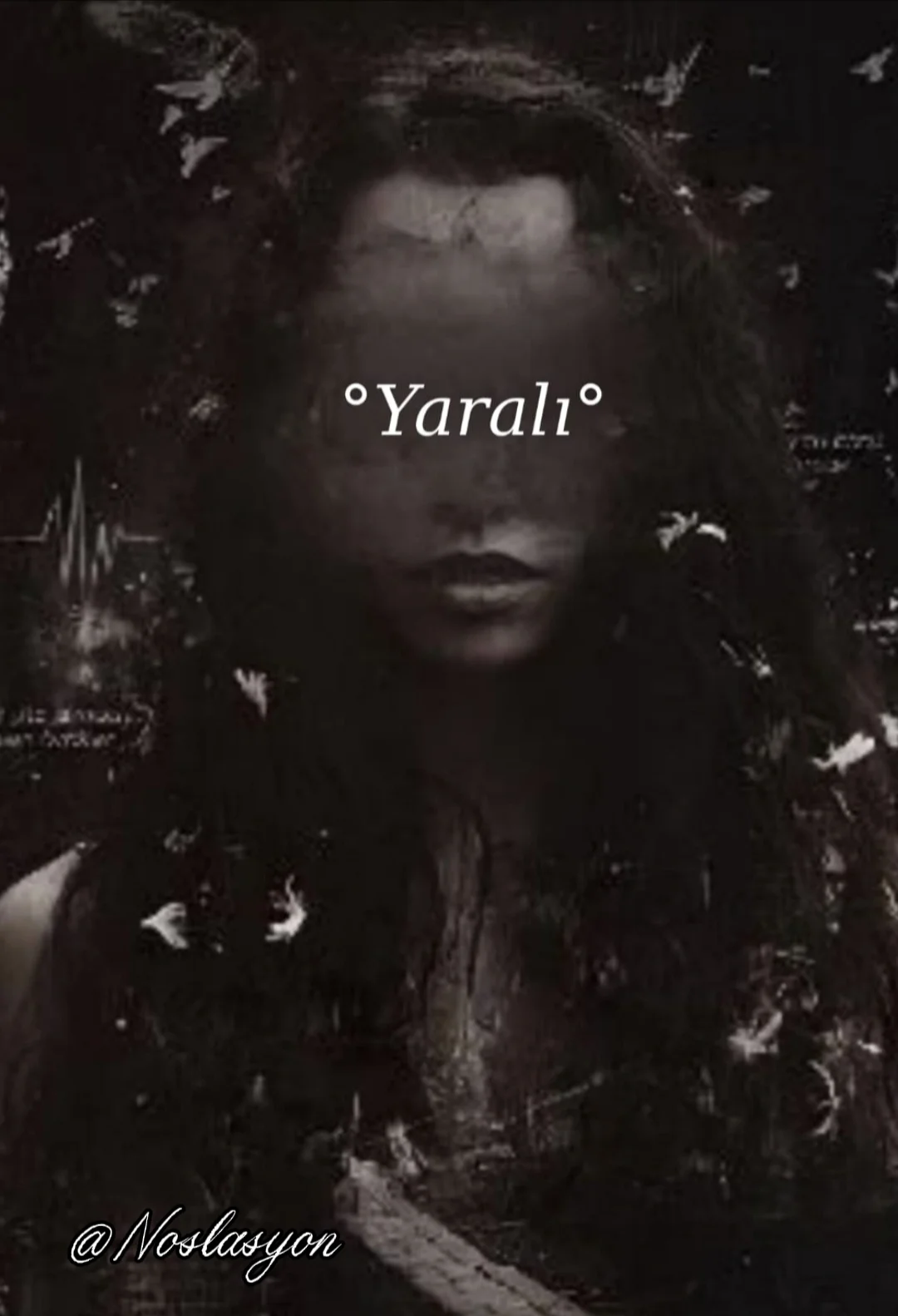 °Yaralı° kitap kapağı