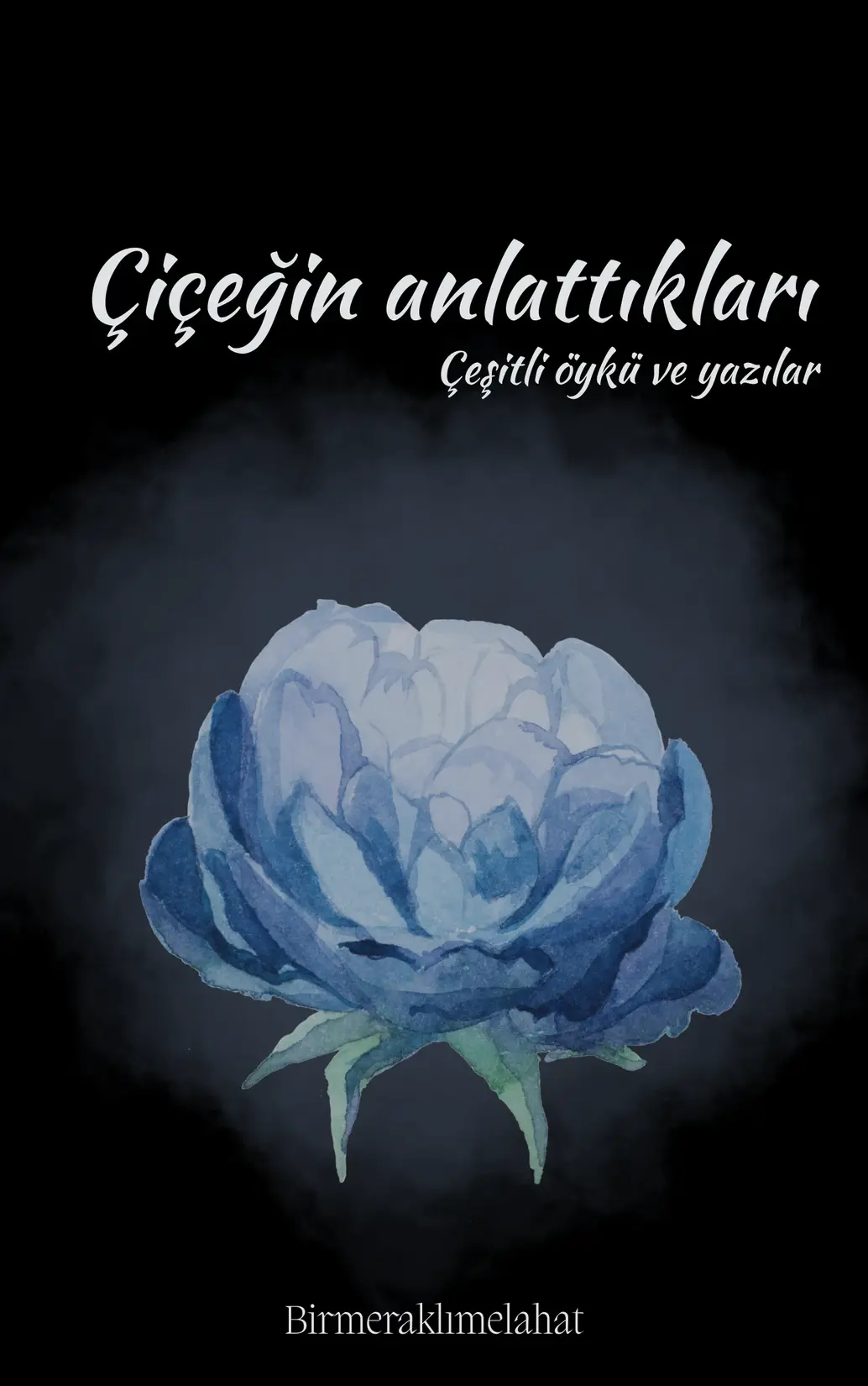 Çiçeğin Anlattıkları kitap kapağı
