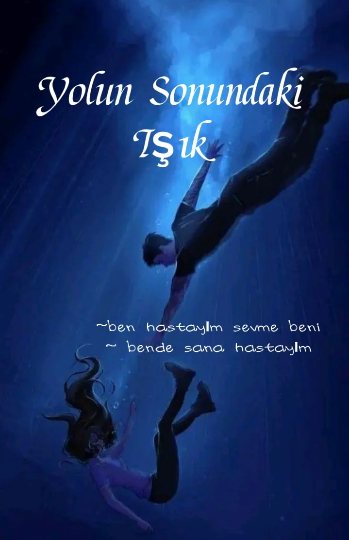 Yolun sonundaki İŞIK🖤💙 kitap kapağı