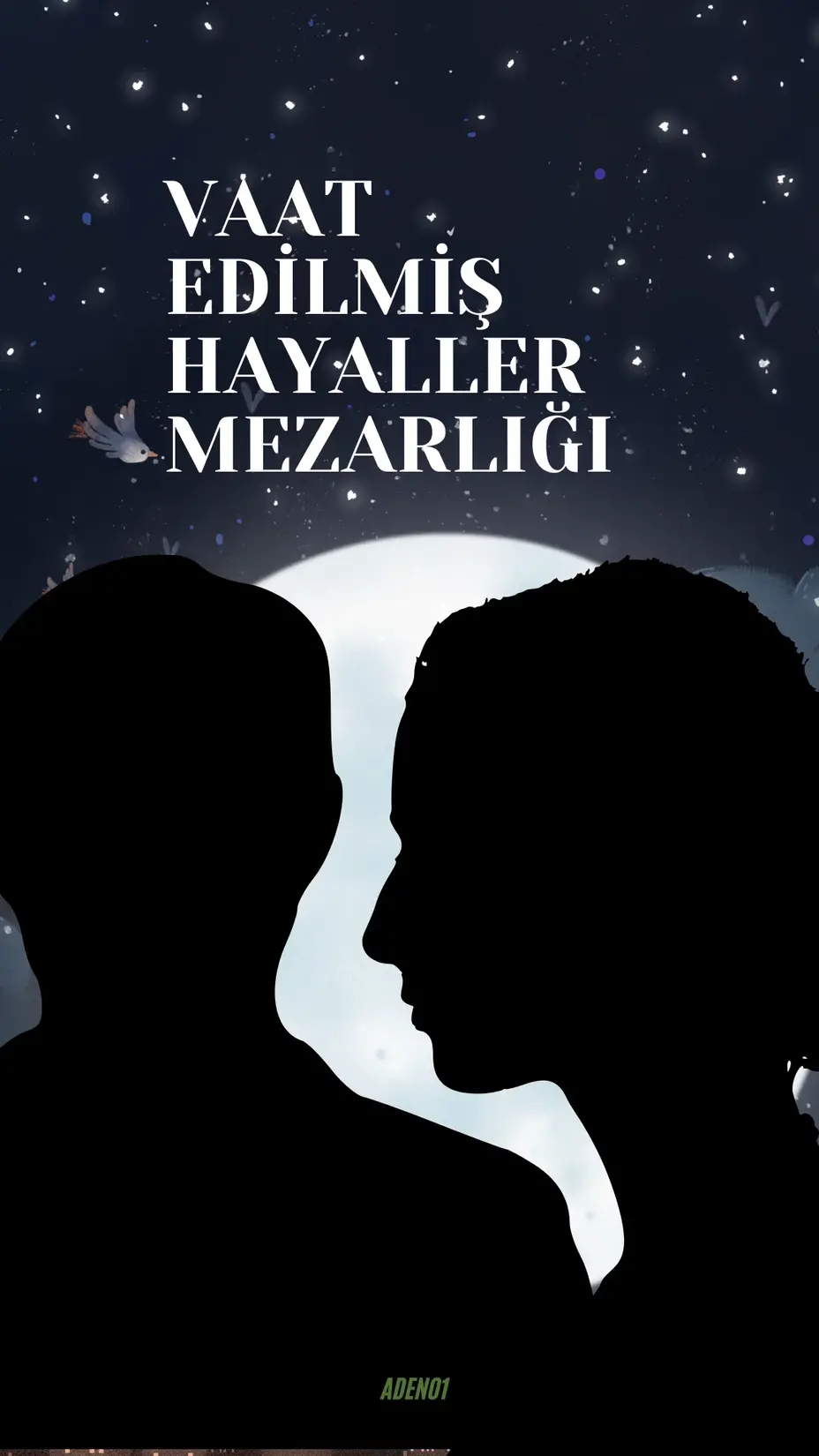 VAAT EDİLMİŞ HAYALLER MEZARLIĞI kitap kapağı