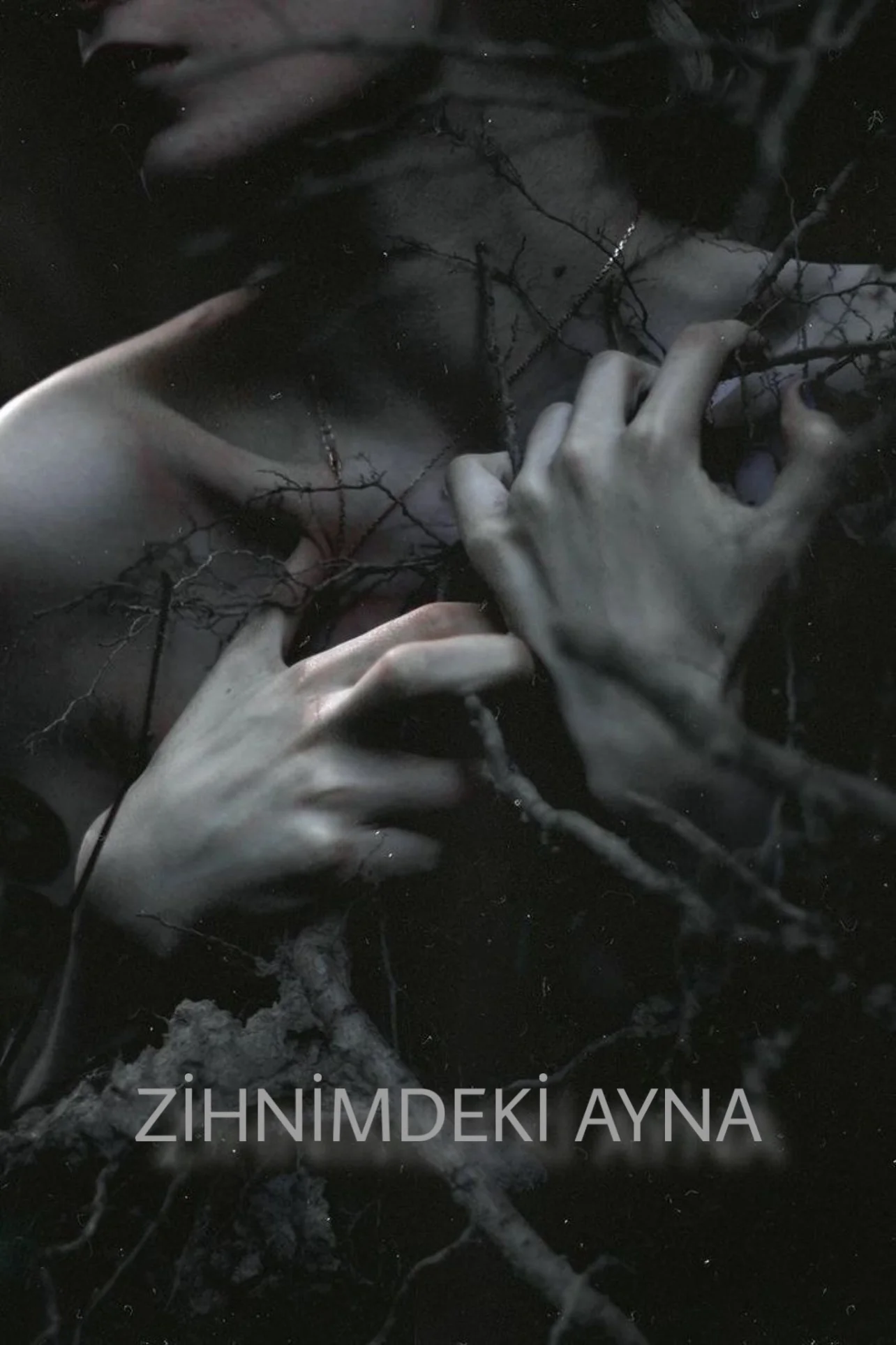 ZİHNİMDEKİ AYNA — Avocado 🫧
