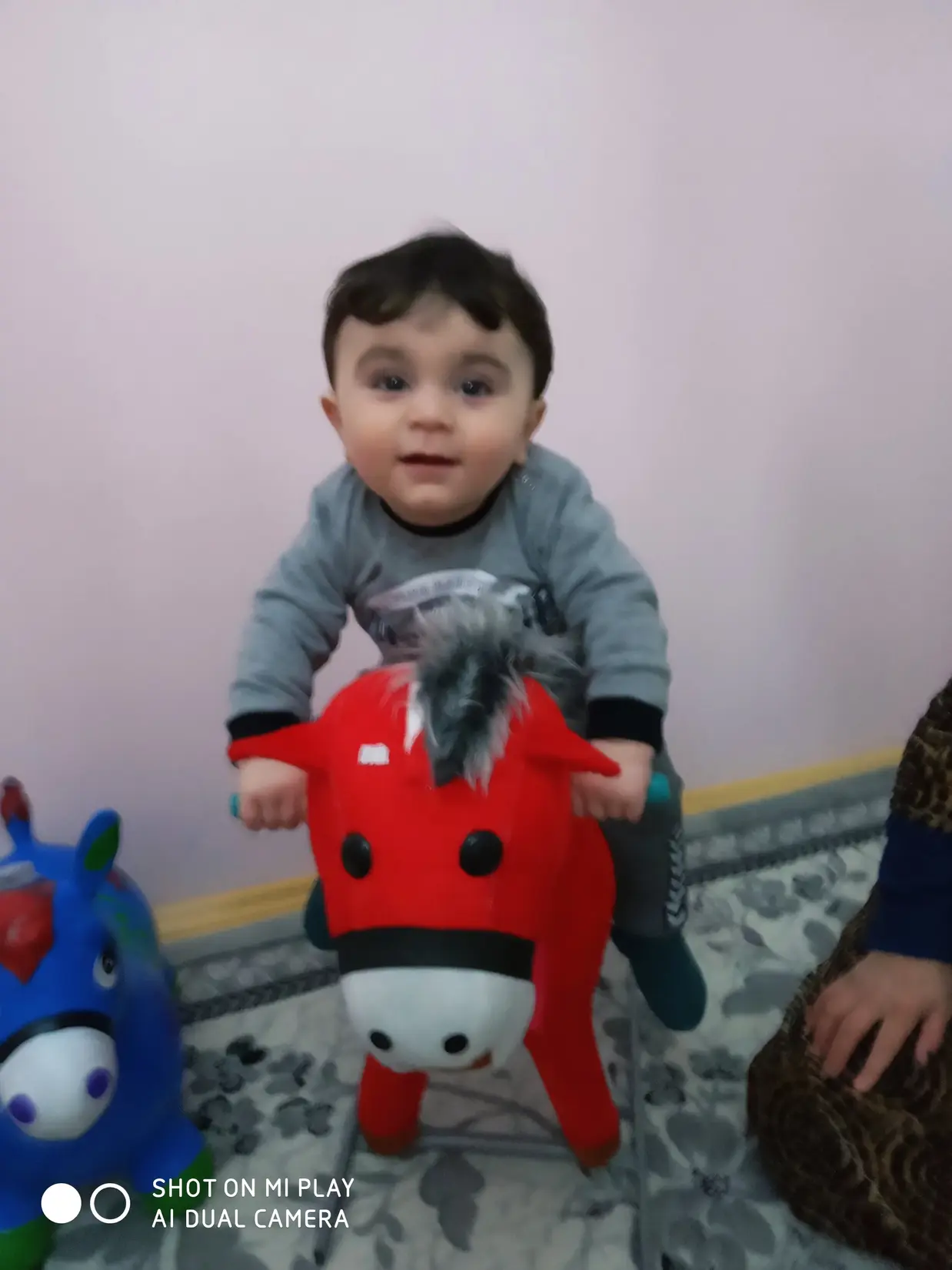 Adil şah kitap kapağı