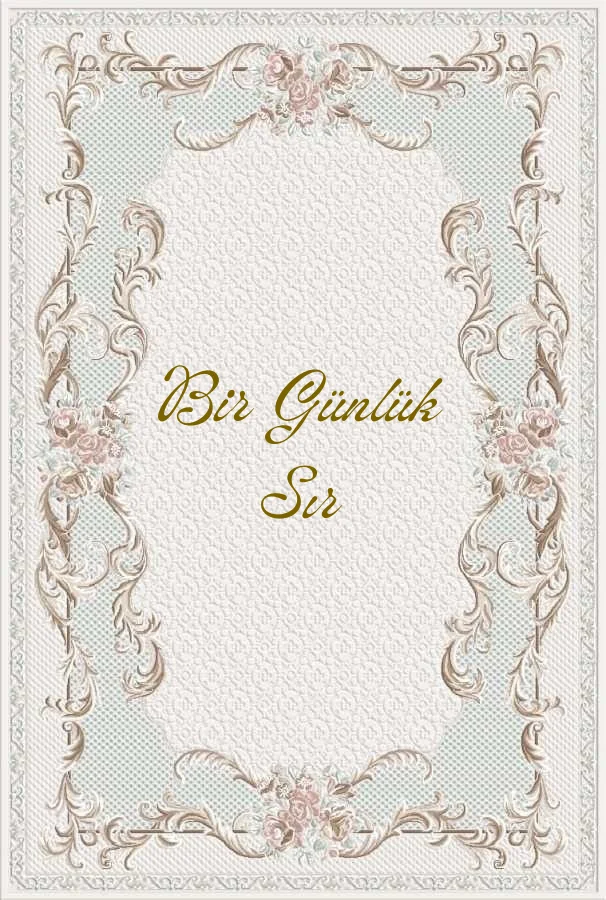 Bir Günlük Sır kitap kapağı