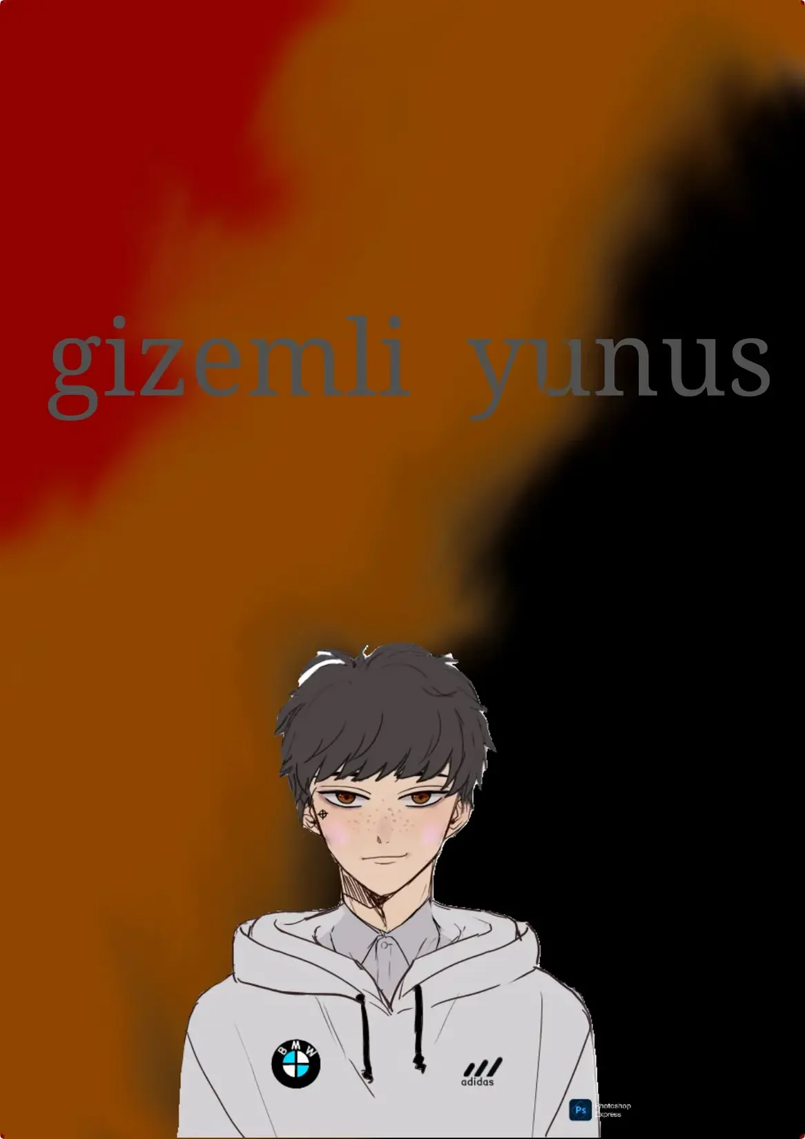 Gizemli yunus kitap kapağı
