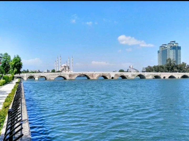 Adana kitap kapağı