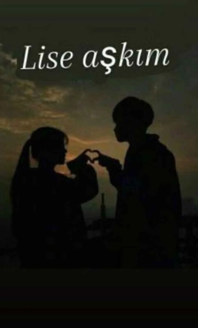 Lise aşkı kitap kapağı