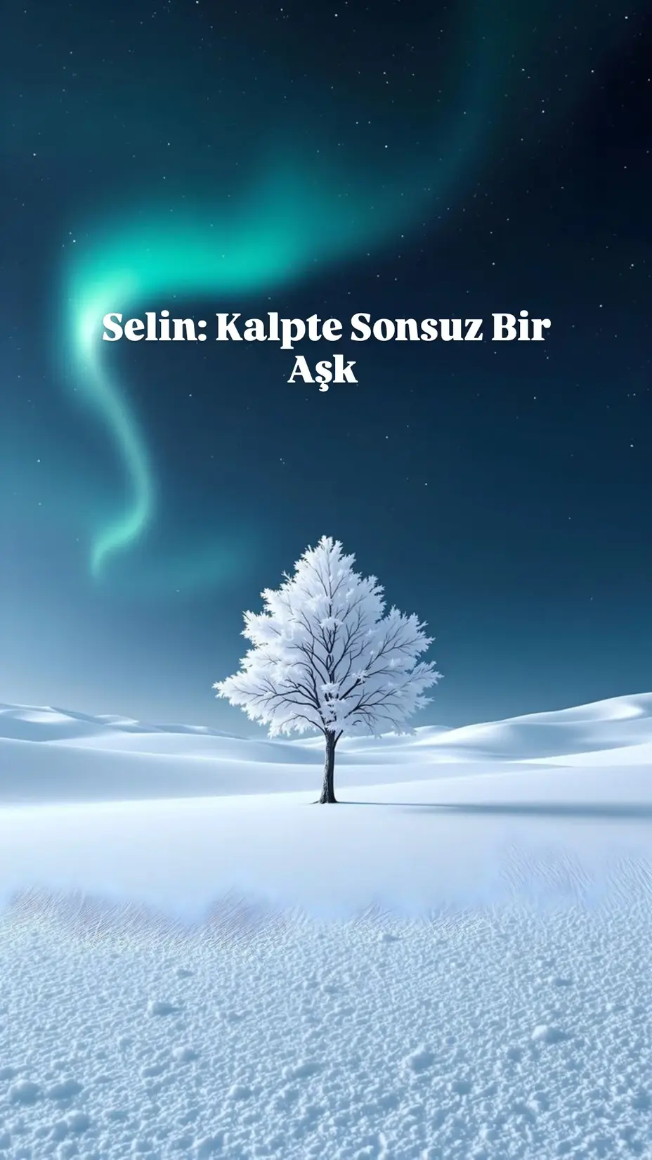 Selin: Kalpte Sonsuz Bir Aşk kitap kapağı