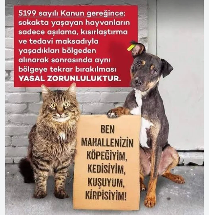 Hayvanlar için adalet biz aynıyız kitap kapağı