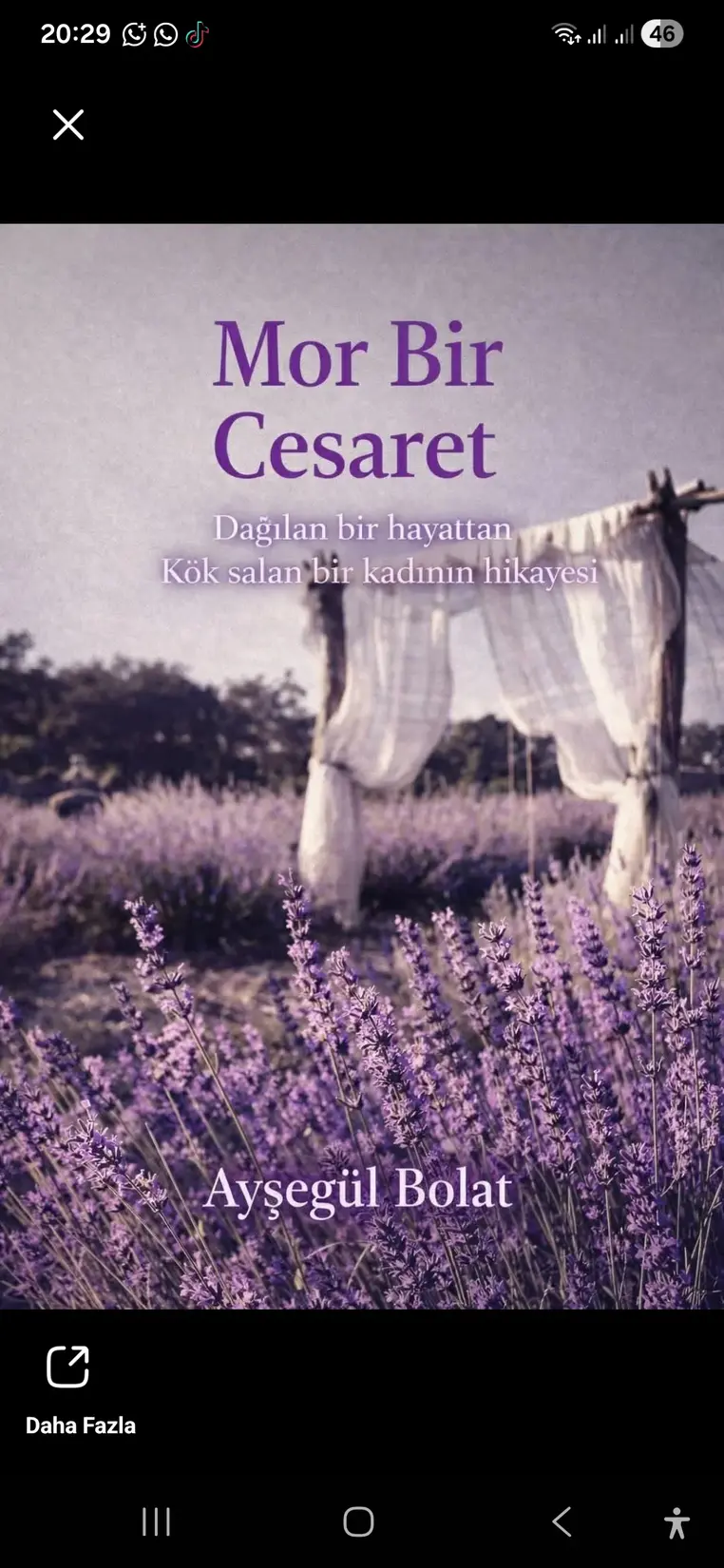 Mor Bir Cesaret kitap kapağı