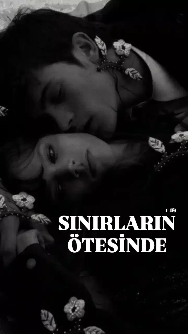 SINIRLARIN ÖTESİNDE kitap kapağı