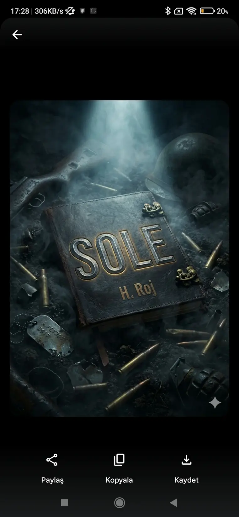Sole kitap kapağı
