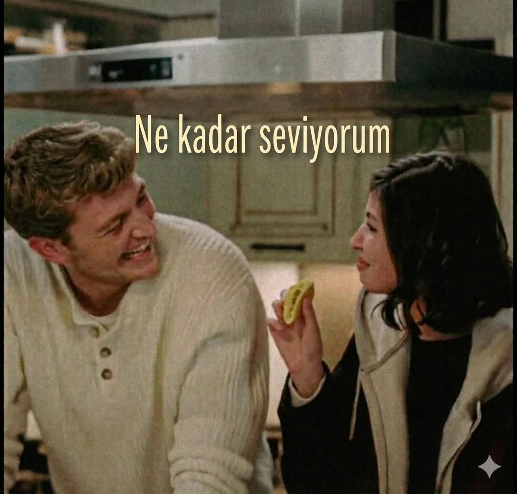 İsfad dizisi Ne kadar seviyorum kitap kapağı