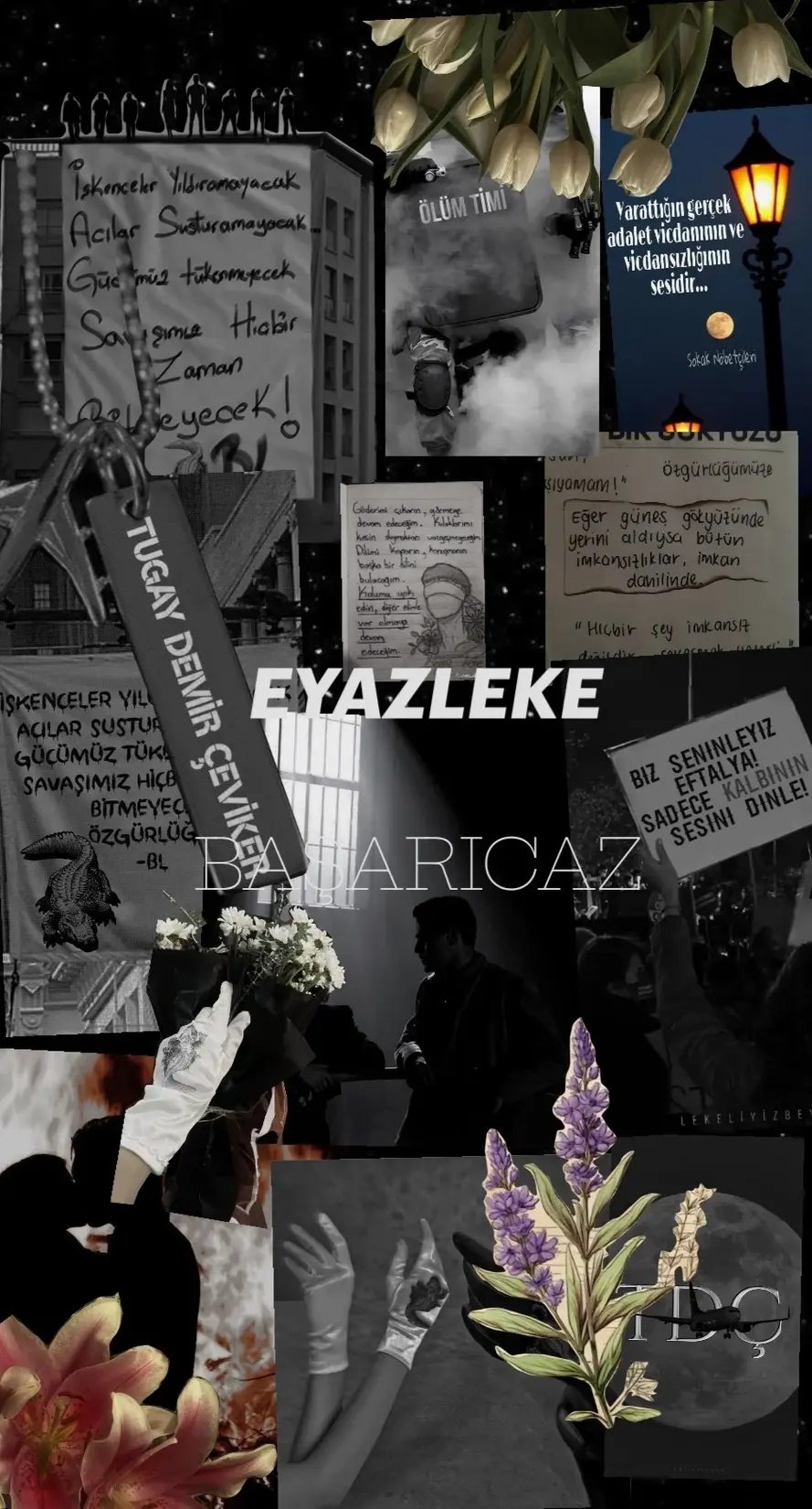 BEYAZ LEKE BAŞARICAZ kitap kapağı