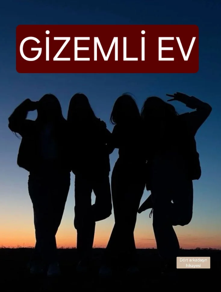 Gizemli ev kitap kapağı
