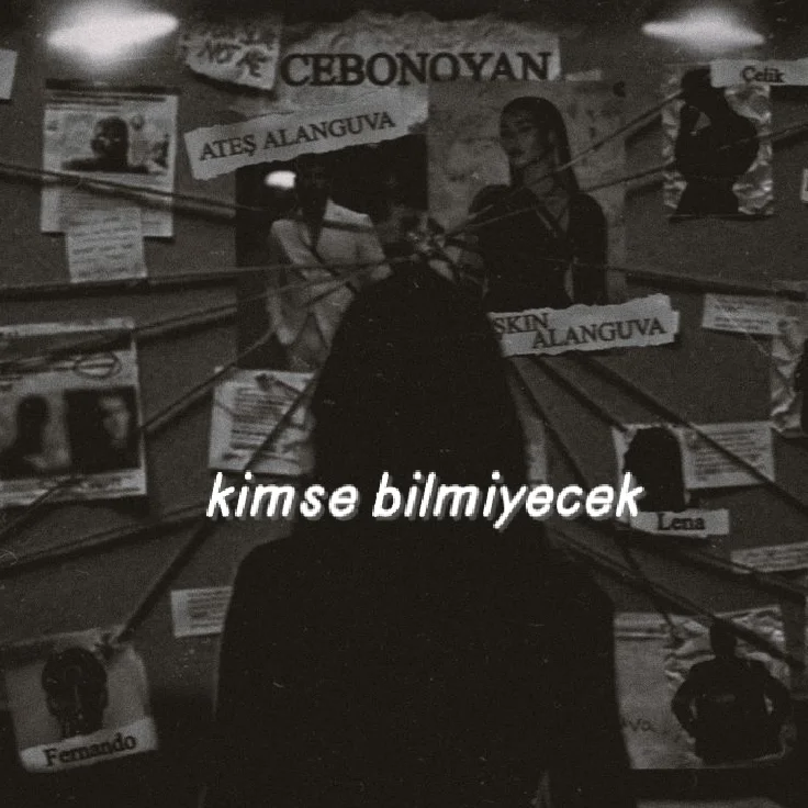 Kimse bilmeyecek kitap kapağı