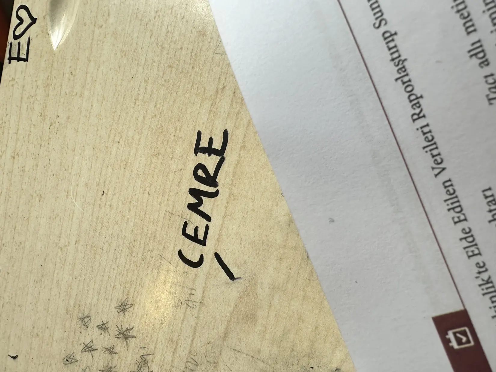 Emreyi hocamı sevmek kitap kapağı