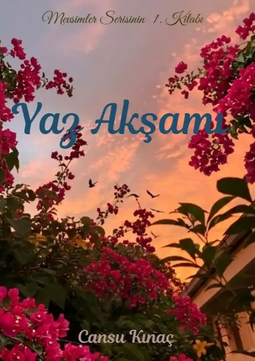 Yaz Akşamı kitap kapağı