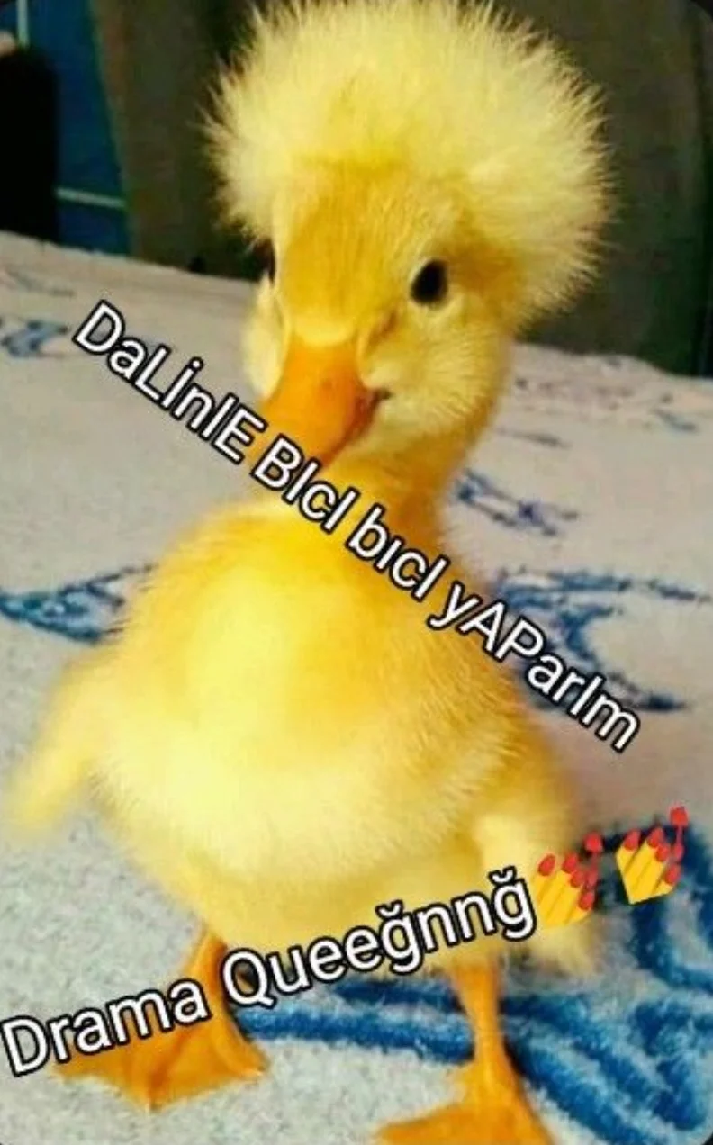 ÖRDEĞĞ kitap kapağı