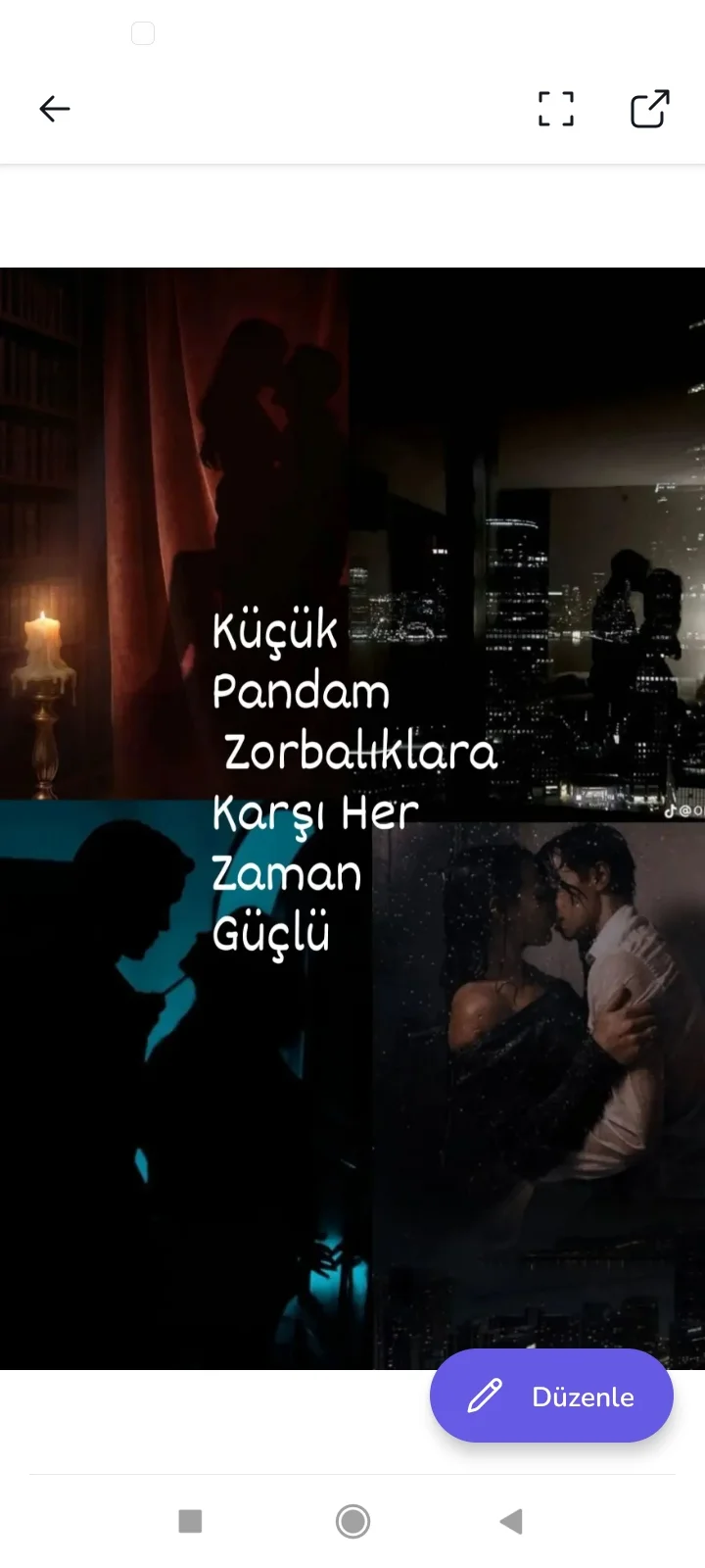 Küçük Pandam Zorbalıklara Karşı Her Zaman Güçlü kitap kapağı